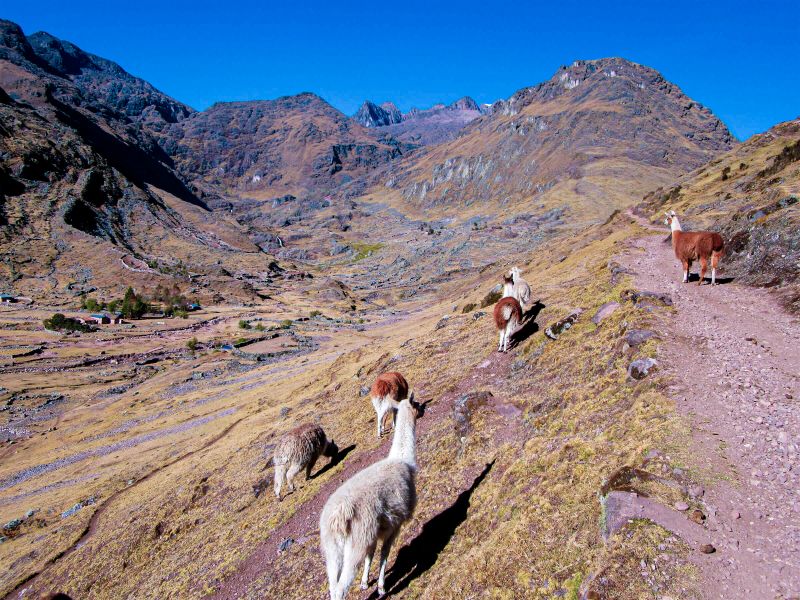 Machu Picchu Lares Trek 4 Días y 3 Noches