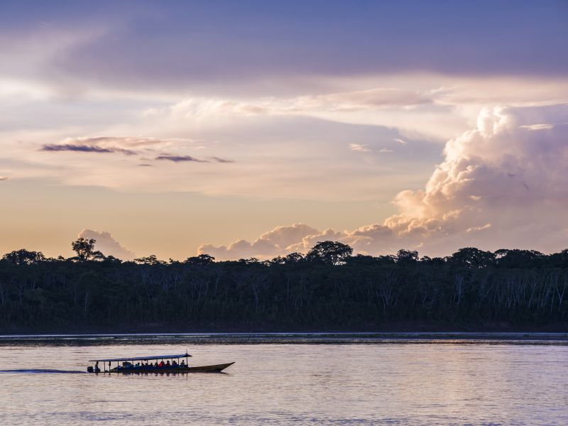 Tour Tambopata + Lobos de Rio (Puerto Maldonado 3 Días 2 Noches)